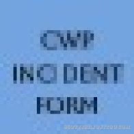 CWP Incident Form